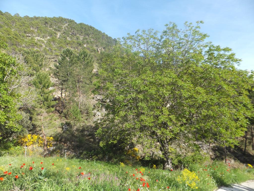 La Limonera Guest House Riopar Exterior photo